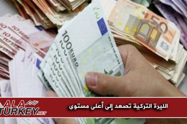 Пользователь не найден кракен