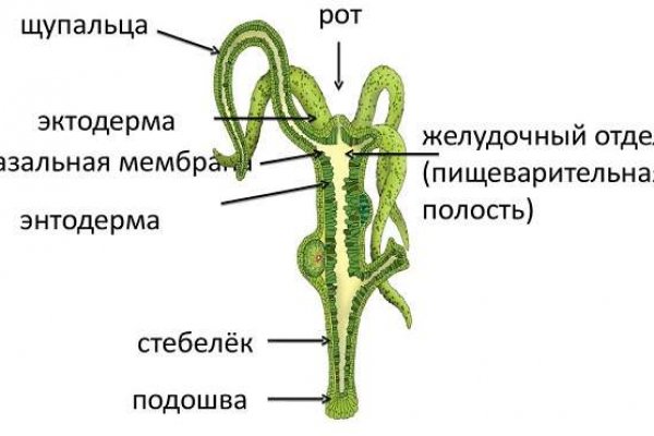 Кракен ссылка тупа германия